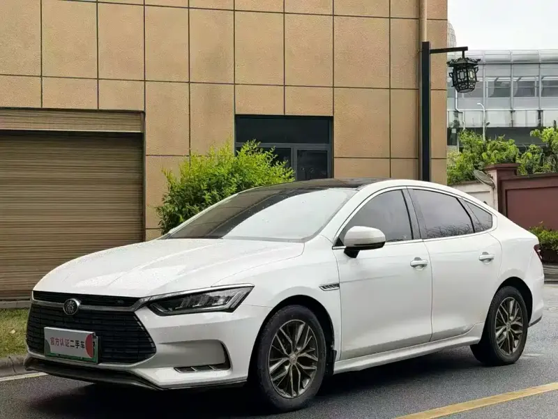 BYD Qin Pro NEV, 2019 — фото 1