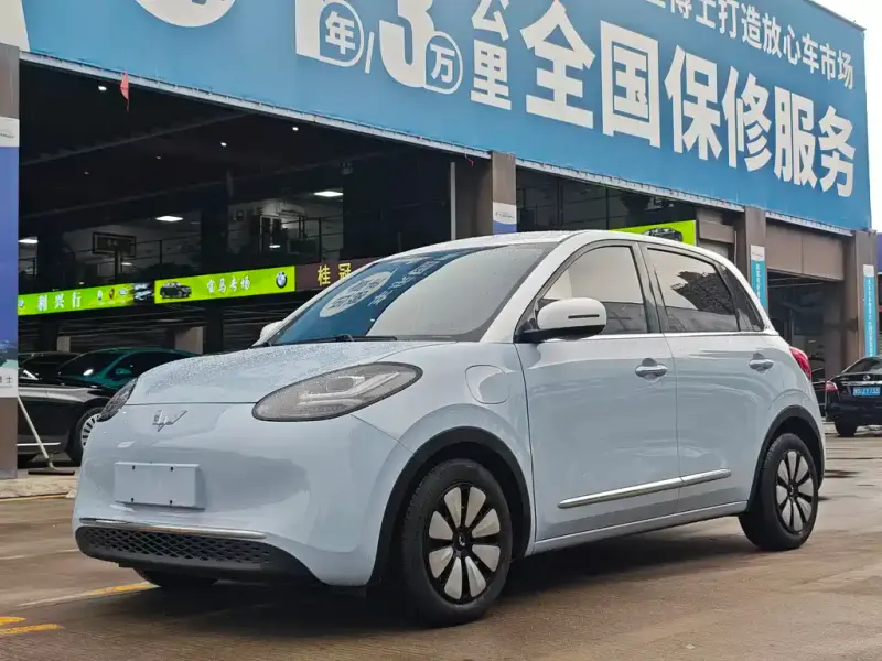Wuling Bingo, 2024