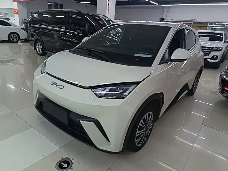 BYD Seagull, 2024
