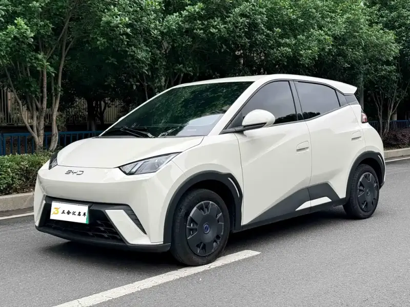 BYD Seagull, 2024
