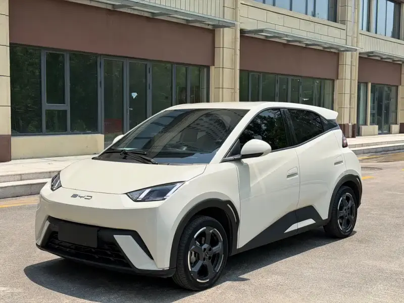BYD Seagull, 2023