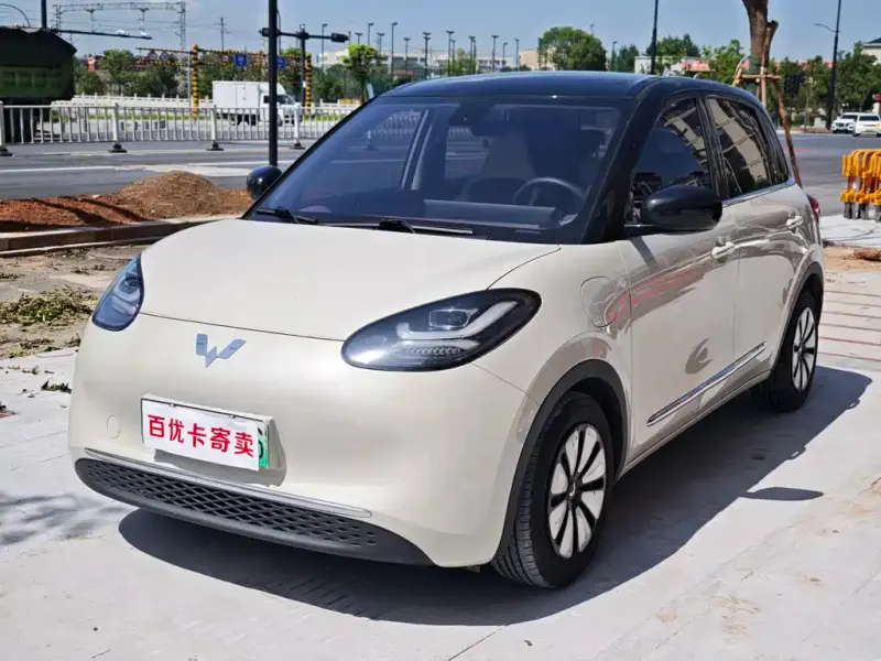 Wuling Bingo, 2024