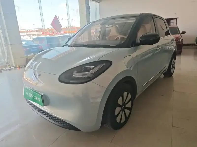 Wuling Bingo, 2025