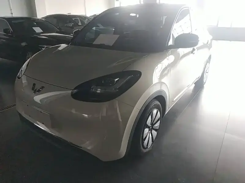 Wuling Bingo, 2024