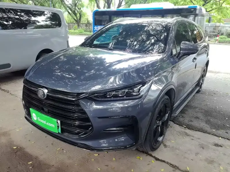 BYD Tang New Energy, 2021