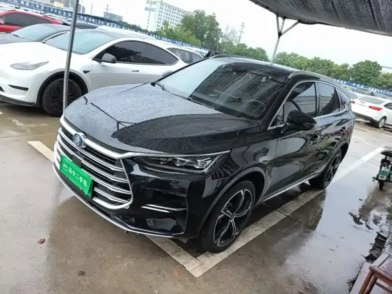 BYD Tang New Energy, 2021