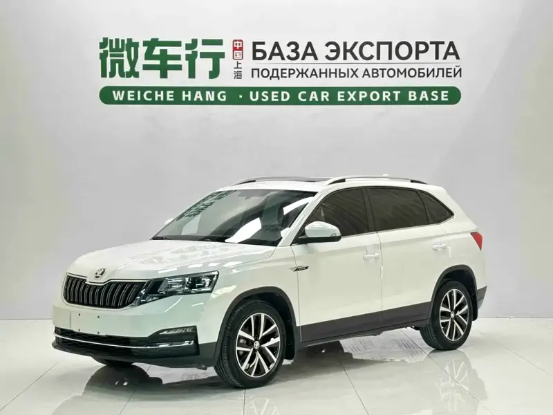 Skoda Kamiq, 2024 — фото 1