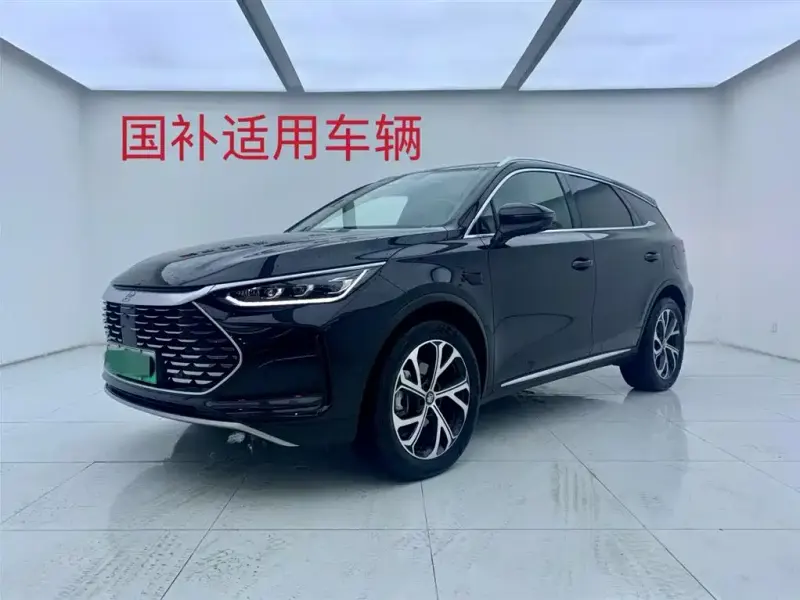 BYD Tang New Energy, 2025