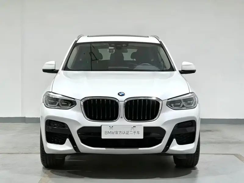 BMW X3, 2019 — фото 1