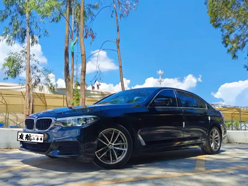 BMW 5 Series, 2020