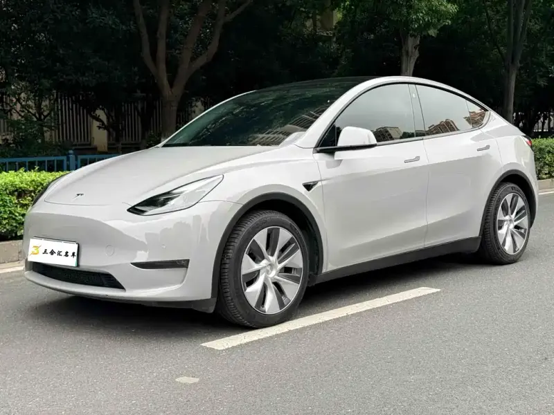 Tesla Model Y, 2021 — фото 1