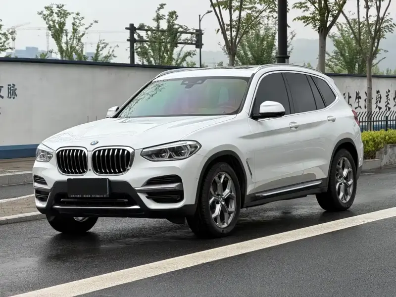 BMW X3, 2019 — фото 1