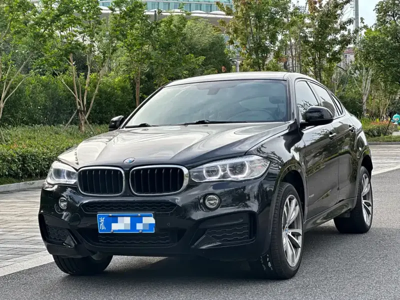 BMW X6, 2019