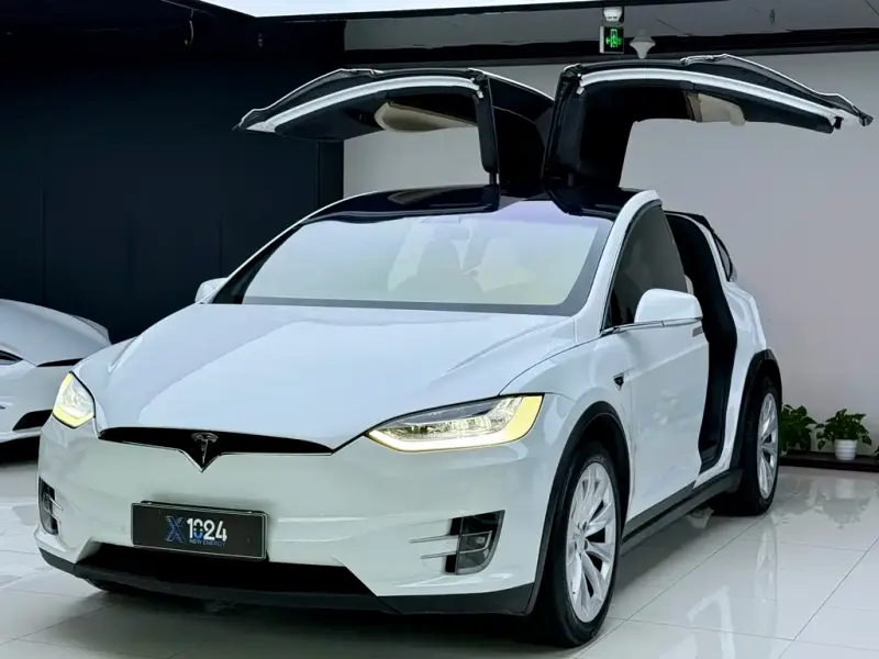 Tesla Model X, 2019