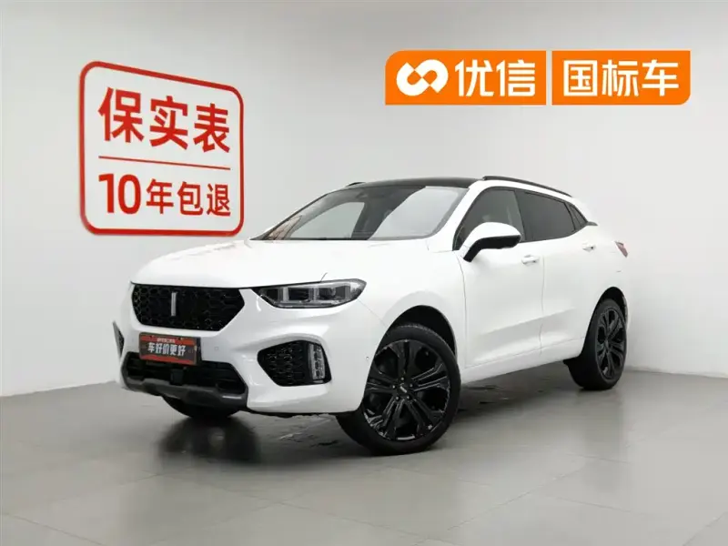 Wey VV5, 2019