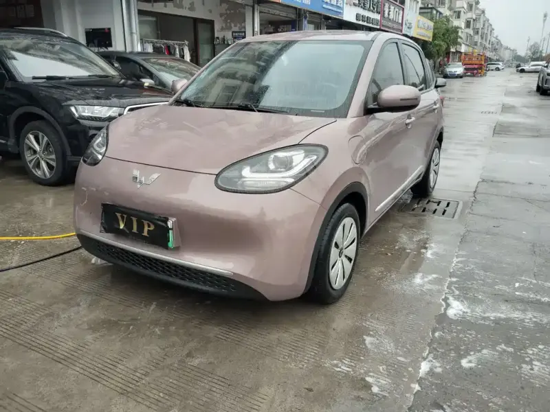 Wuling Bingo, 2023