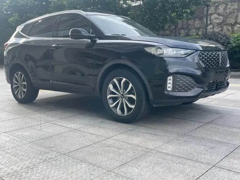 Wey VV6, 2020