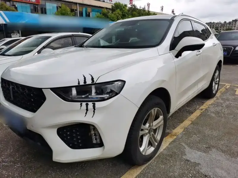 Wey VV5, 2019