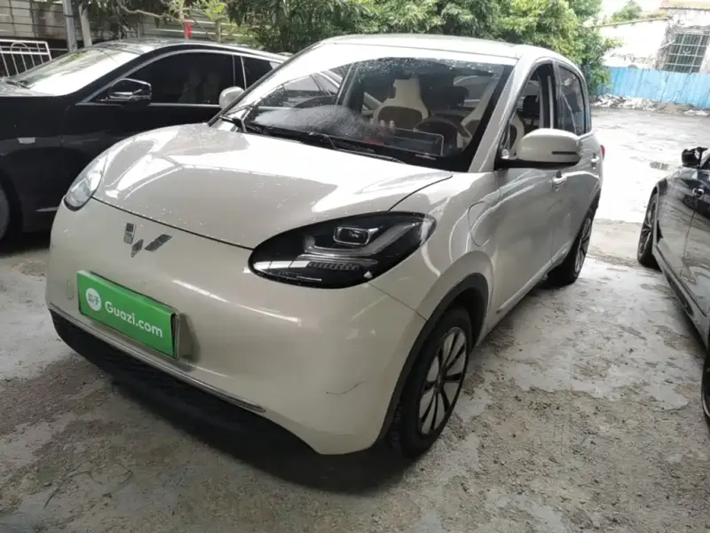 Wuling Bingo, 2024