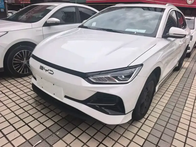 BYD e2, 2024