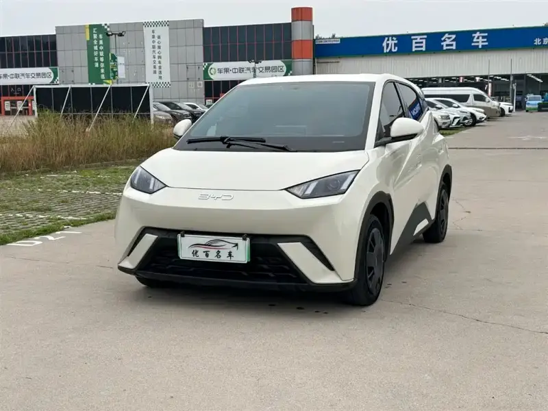 BYD Seagull, 2024