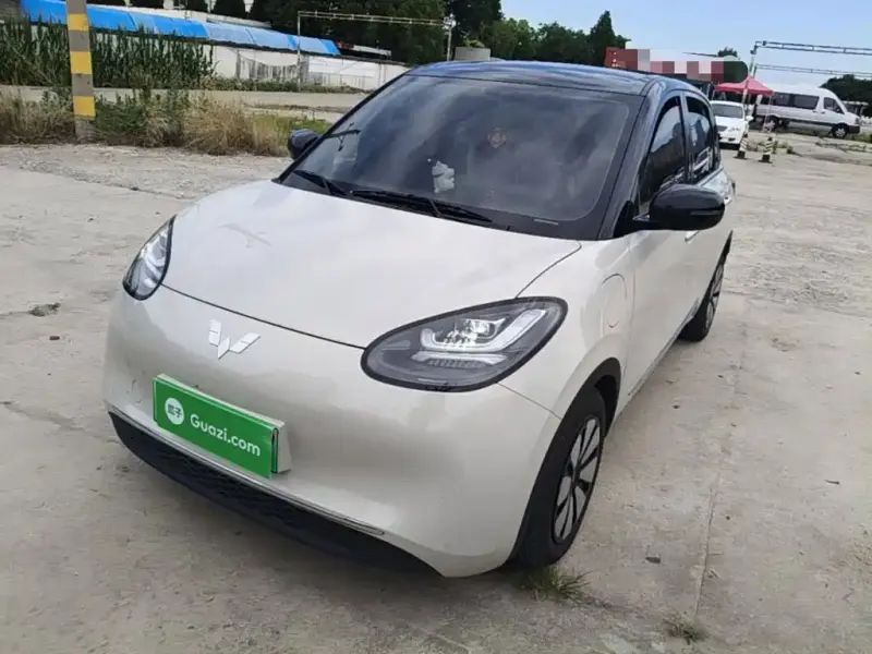 Wuling Bingo, 2024