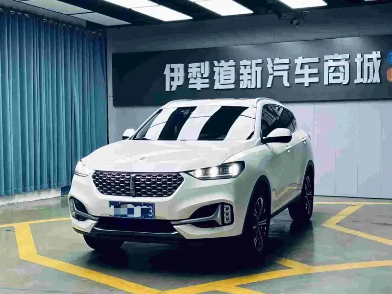 Wey VV6, 2020