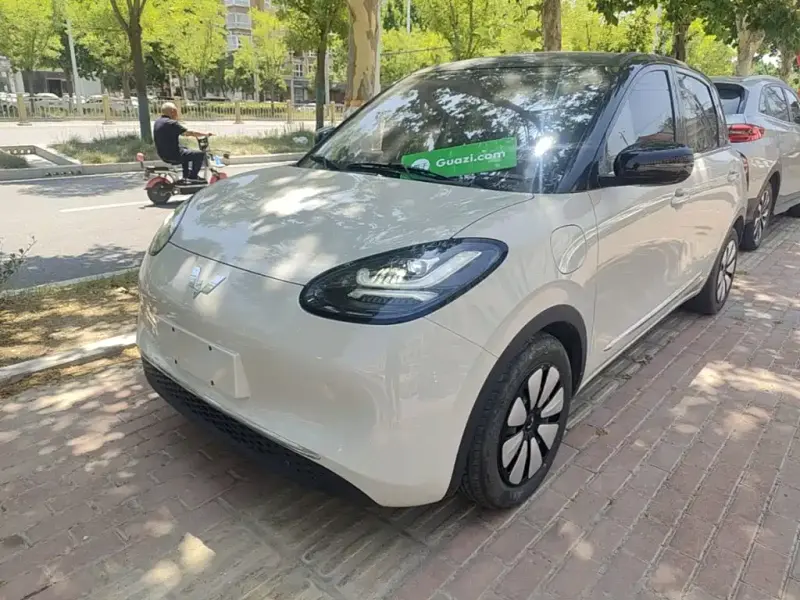 Wuling Bingo, 2024