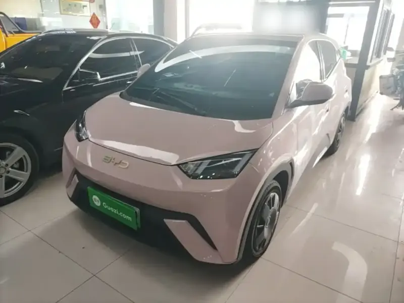 BYD Seagull, 2024