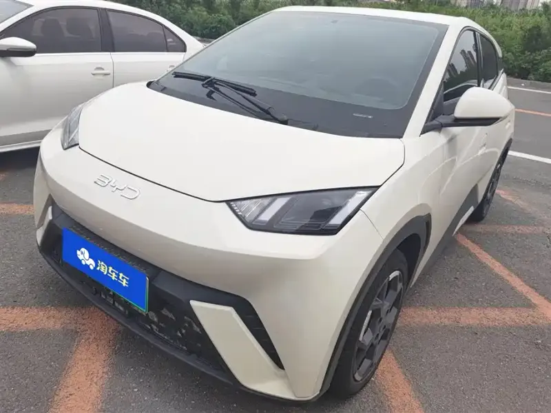 BYD Seagull, 2025