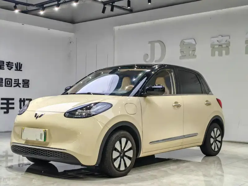 Wuling Bingo, 2026