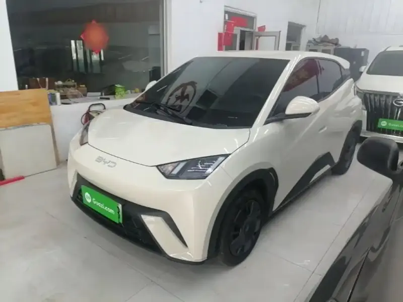 BYD Seagull, 2025