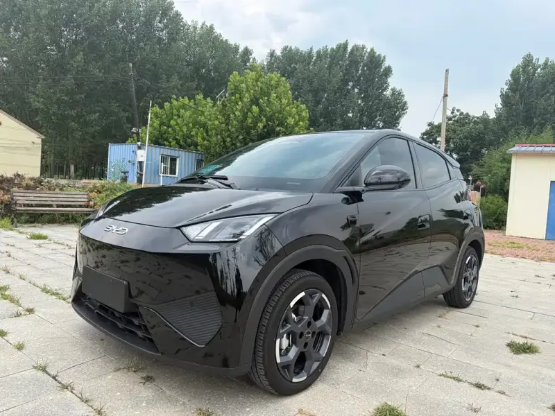 BYD Seagull, 2025