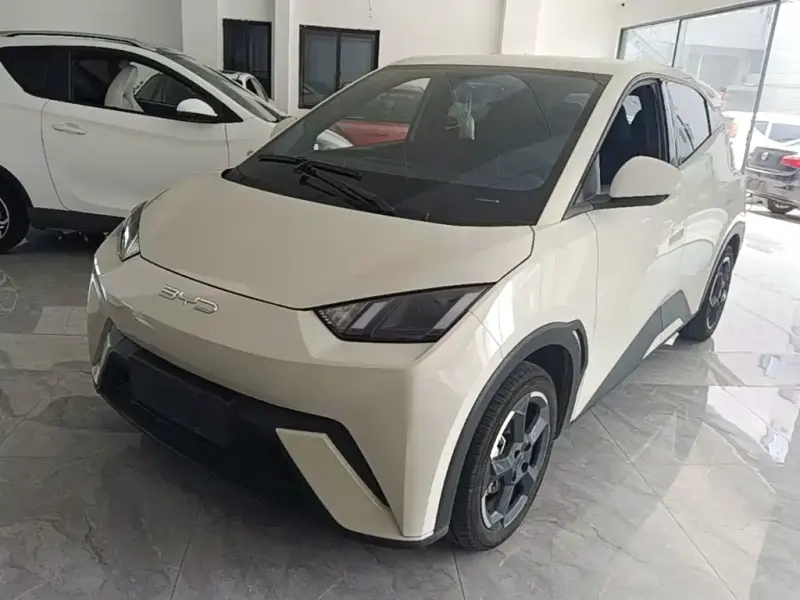 BYD Seagull, 2024