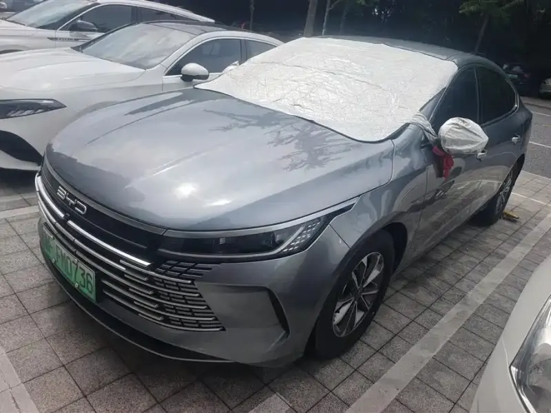 BYD Destroyer 05, 2024 — фото 1
