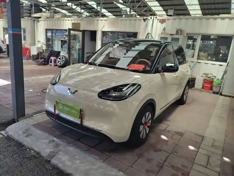 Wuling Bingo, 2025