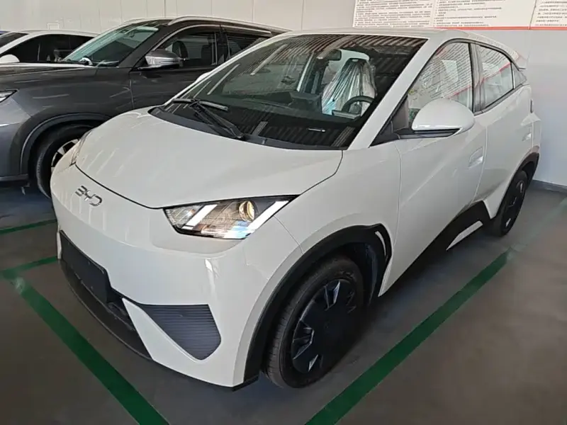 BYD Seagull, 2026