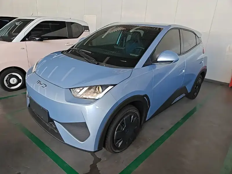 BYD Seagull, 2026