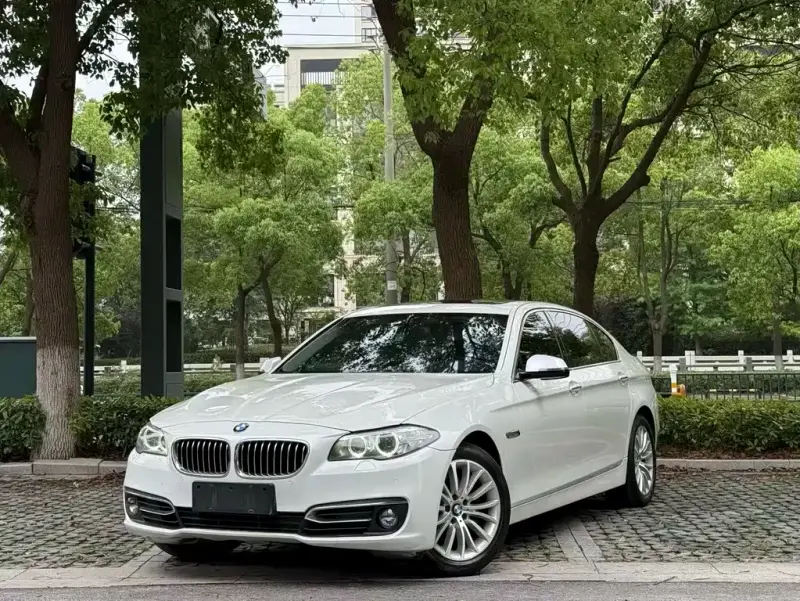 BMW 5 Series, 2014