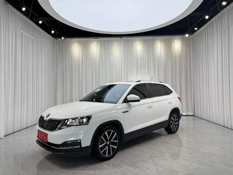 Skoda Kamiq, 2023 — фото 1