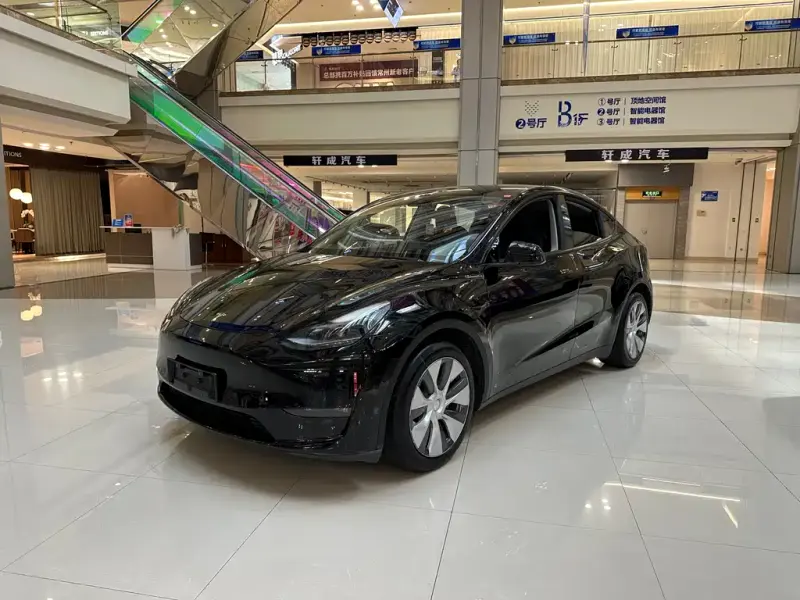 Tesla Model Y, 2021