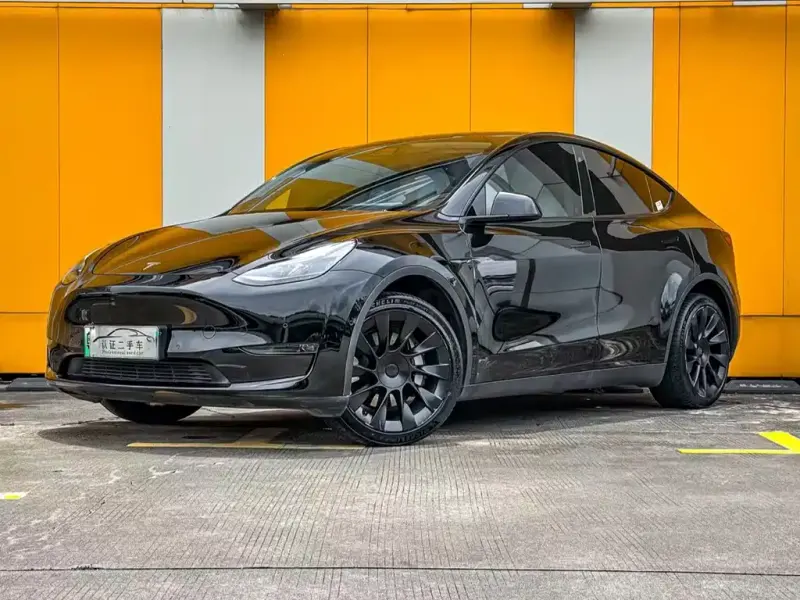 Tesla Model Y, 2021