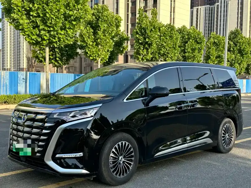 Denza D9, 2024