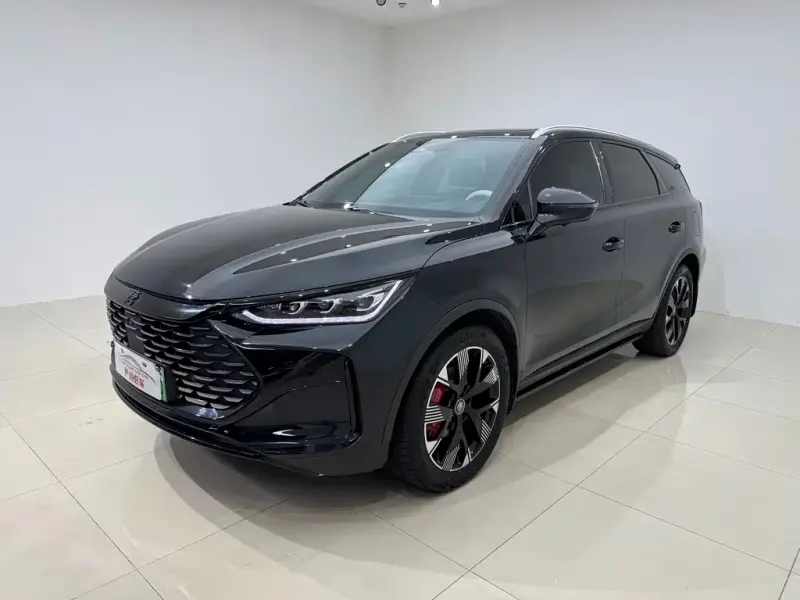 BYD Tang New Energy, 2024