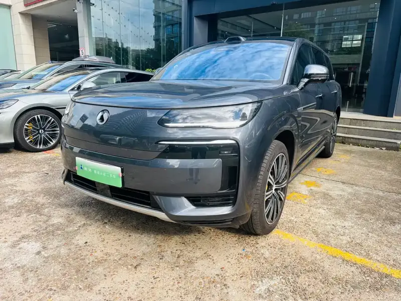 Denza N9, 2025