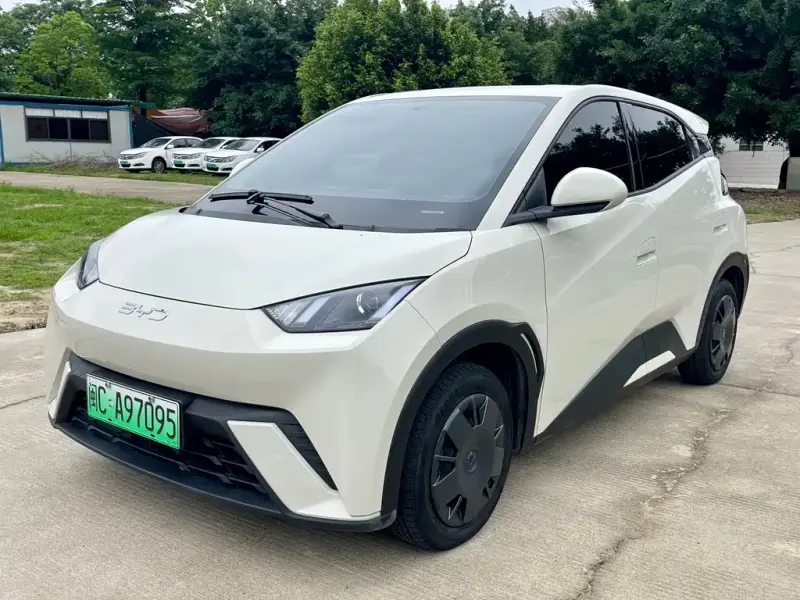 BYD Seagull, 2024