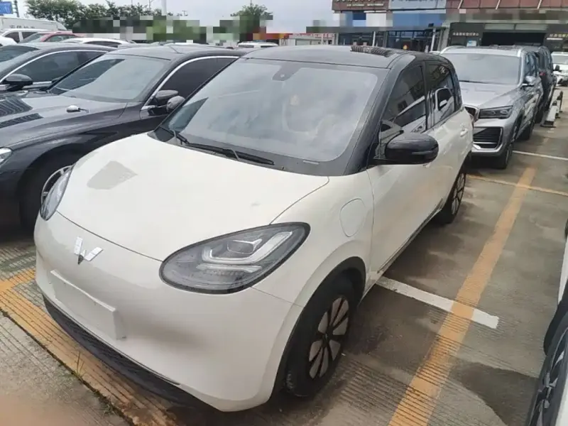 Wuling Bingo, 2023