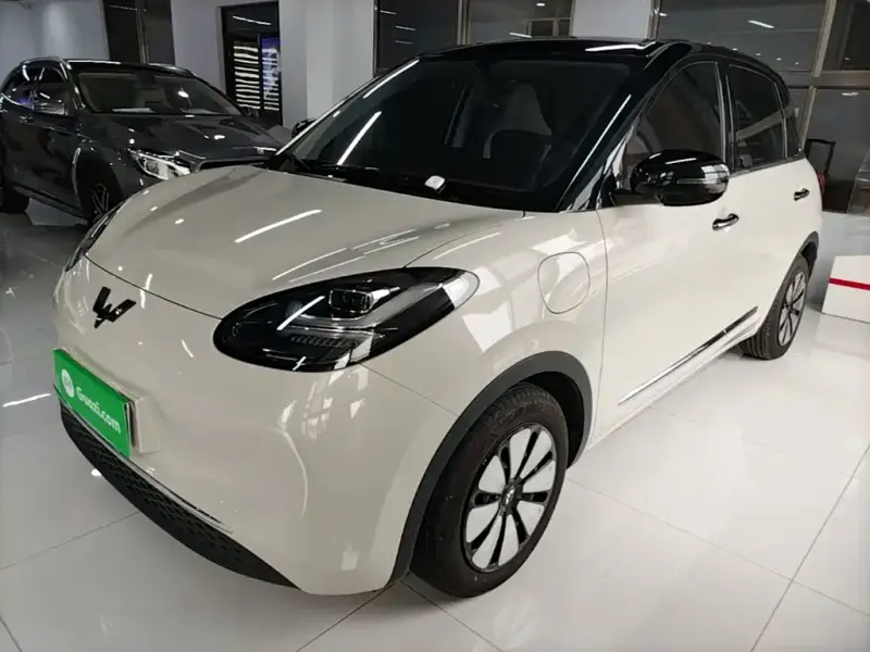 Wuling Bingo, 2024