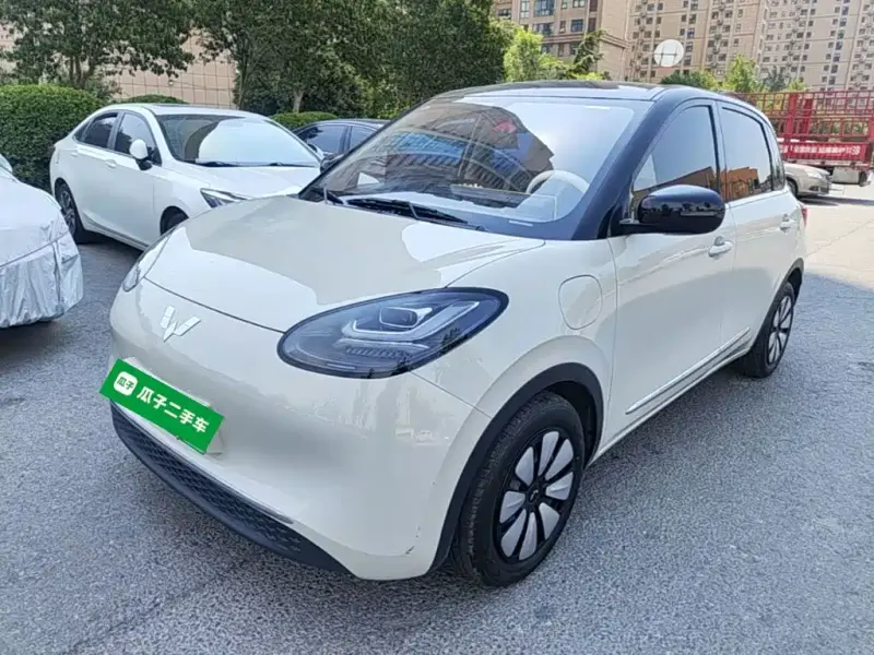 Wuling Bingo, 2024