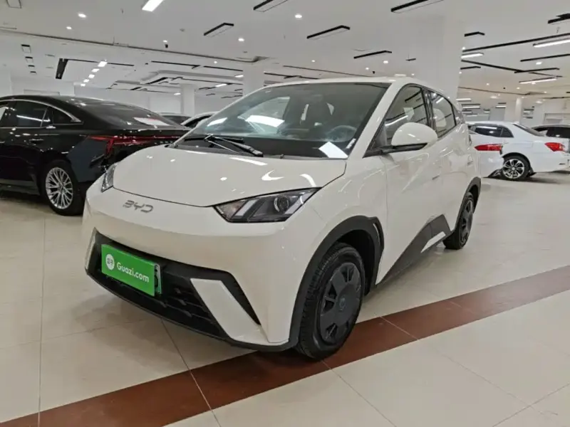 BYD Seagull, 2024